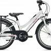 Falter FX 203 ND Trapez 29 Cm 20'' White/berry -Fahrrad laden image KO FA 0765 1 600x600