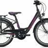 Falter FX 203 ND Wave 29 Cm 20'' Anthracite/pink 1 Falter FX 203 ND Wave 29 Cm 20'' Anthracite/pink -Fahrrad laden image KO FA 0766 1 600x600