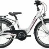 Falter FX 203 ND Wave 29 Cm 20'' White/berry 1 Falter FX 203 ND Wave 29 Cm 20'' White/berry -Fahrrad laden image KO FA 0768 1 600x600