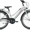 Falter FX 403 ND Trapez 34 Cm 24'' White/berry -Fahrrad laden image KO FA 0782 1 600x600