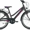 Falter FX 407 ND Trapez 34 Cm 24'' Anthracite/pink -Fahrrad laden image KO FA 0792 1 600x600