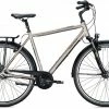 Falter C 5.0 Diamant 28'' Titanium -Fahrrad laden image KO FA 0910 1 600x600