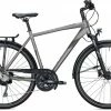 Morrison T 5.0 Diamant 28'' Titanium -Fahrrad laden image KO MO 0836 1 600x600