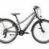 S'COOL S´COOL E-troX 26 Aluminium 7-Gang Darkgrey Matt E-Bike -Fahrrad laden image KO SL 0306 1 600x600