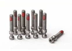 MAGURA Schnellspanner-Schraube/EASY MOUNT/T25