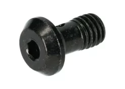 Shimano Banjo-Schraube BRM8100